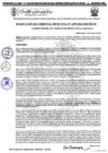 Vista preliminar de documento RGM 1299-2024