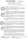Vista preliminar de documento RESOLUCION DE ALCALDIA Nº 137-2024