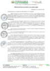 Vista preliminar de documento RESOLUCION DE ALCALDIA Nº 213-2024