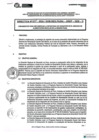 Vista preliminar de documento DIRECTIVA N°010-2024-DREP