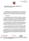 Vista preliminar de documento RESOLUCION JEFATURAL-000131-2024-PEL.01.01