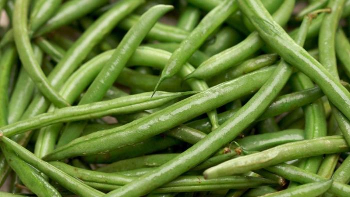 MIDAGRI