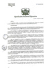 Vista preliminar de documento R.D.E. Nº218-2024-HNAL- OEA