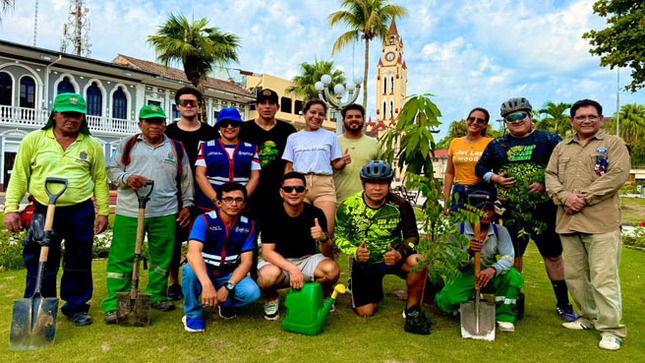 PROYECTO ARBOL