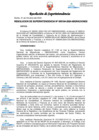 Vista preliminar de documento RESOLUCION DE SUPERINTENDENCIA-000194-2024-MIGRACIONES