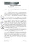 Vista preliminar de documento 0032-2024-MPHy