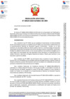 Vista preliminar de documento Resolución