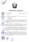 Vista preliminar de documento RS N° 110-2024-DE