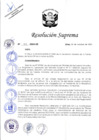 Vista preliminar de documento RS N° 113-2024-DE