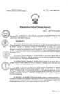 Vista preliminar de documento RD N°307-2024-HNCH-DG