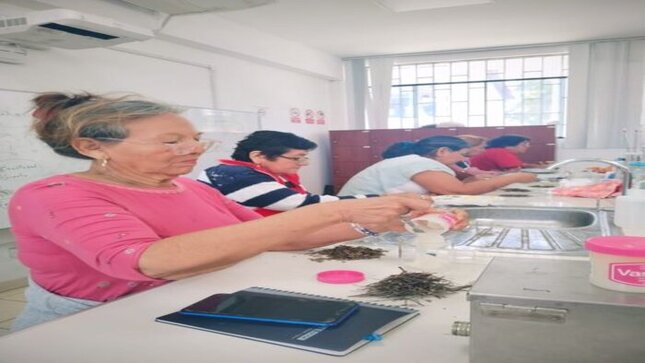 ADULTOS MAYORES CONTINÚAN TALLER “PROYECTO PRODUCTIVO” DE ELABORACIÓN DE POMADAS MEDICINALES 