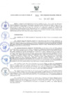 Vista preliminar de documento RER.531