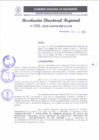 Vista preliminar de documento RDR 332-2024