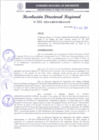 Vista preliminar de documento RDR 333-2024
