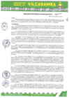 Vista preliminar de documento RADMIN 369 2024