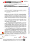 Vista preliminar de documento RDE265