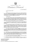 Vista preliminar de documento RD-217