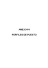 Vista preliminar de documento Anexo 01 Perfiles de Puestos