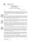 Vista preliminar de documento RES Nª 38-2024-CU-UNAMBA
