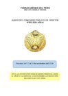 Vista preliminar de documento BASES CONCURSO 002 2024 CIVILES 276 CHOFER -2025 AGRAJ