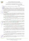 Vista preliminar de documento RA_325_2024_MDI