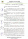 Vista preliminar de documento RA_324_2024_MDI