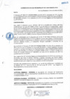 Vista preliminar de documento ACUERDO141_2019
