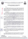 Vista preliminar de documento AC119-2024