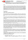 Vista preliminar de documento RG295