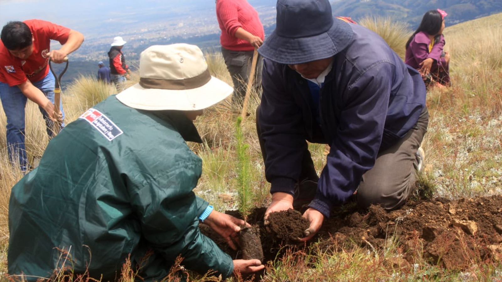 AGRO RURAL
