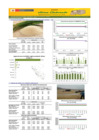 Vista preliminar de documento Boletín de abastecimiento y precio del ARROZ - 07/11/2024