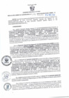 Vista preliminar de documento RGSR 196-2024