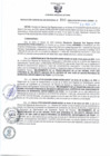 Vista preliminar de documento RGSR 197-2024