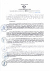 Vista preliminar de documento RGSR 199-2024