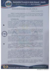 Vista preliminar de documento RA N° 075