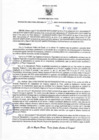 Vista preliminar de documento Resolucion 331
