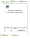 Vista preliminar de documento Directiva