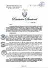 Vista preliminar de documento RD N°1014-2024-DG-DIRIS-LC
