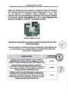 Vista preliminar de documento BASES