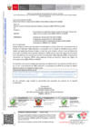 Vista preliminar de documento Oficio Múltiple 452-2024-UGEL.02-ASGESE