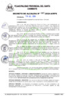 Vista preliminar de documento DEC_ALD_007_2024