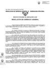 Vista preliminar de documento 048-2024-GRAL