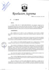 Vista preliminar de documento RS N° 118-2024-DE