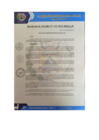 Vista preliminar de documento Res_A_234-2024