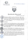 Vista preliminar de documento RD N°354-10-2024-DE-HCLLH-MINSA