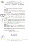 Vista preliminar de documento RA_330_2024_MDI