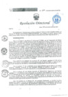 Vista preliminar de documento RD 229 DG 2024