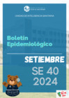 Vista preliminar de documento 9. Boletin epidemiológico setiembre 2024