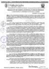 Vista preliminar de documento RGM 1258-2024