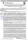 Vista preliminar de documento RGM 1308-2024